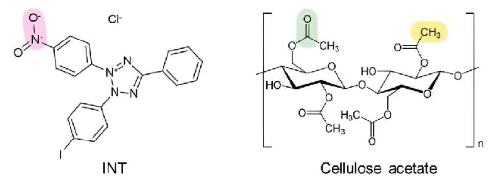 Figure 7. Chemical structure of INT and cellulose acetate(CA). 