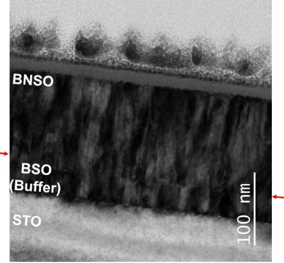 Figure 4. TEM Images of BNSO Thin Films (Low Resolution) 