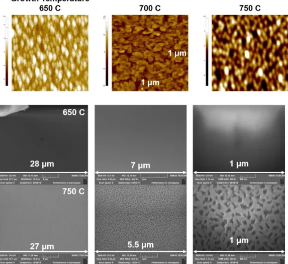 Figure 8. Morphologies of BNSO Film depending on the Temperature 
