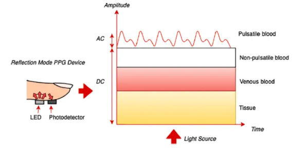 Figure 2.4: PPG 신호의 측정 방법과 신호 구성 성분[3]