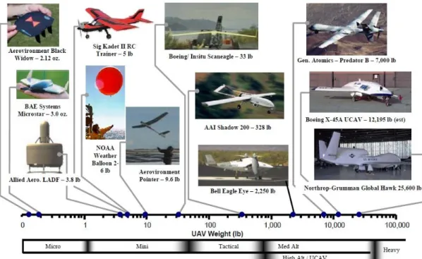 Fig 1.1 Mass Spectrum of Current UAVs 