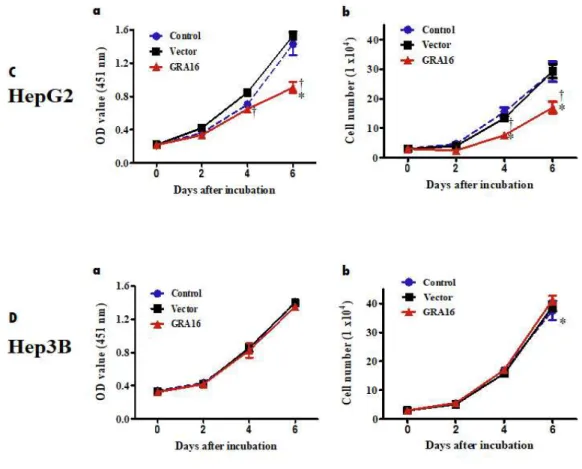 Figure  1.  (A)  The  figure  shows  the  expression  of  HA-tagged  GRA16  proteins in the immunofluorescence assay using anti-HA Ab