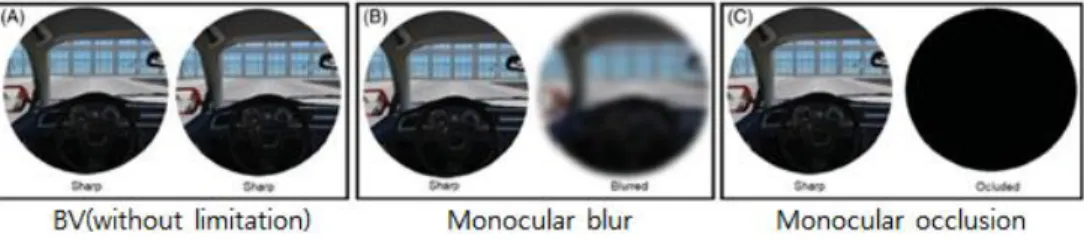 Figure 8 Ruben Molina의 Binocular, Monocular  비교 연구