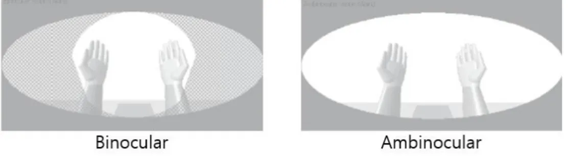 Figure 3. Ambinocular와 Binocular의 가시영역