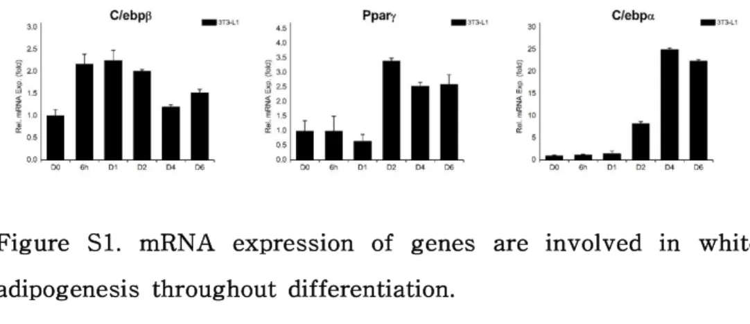 Figure S1. mRNA expression of genes are involved in white adipogenesis throughout differentiation.