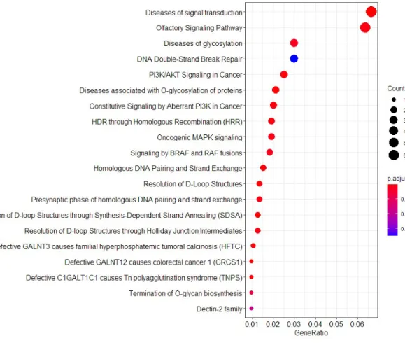 Figure  4.  Pathway  associated  with  mutations  in  26  established  pancreatic  cancer  cell  lines