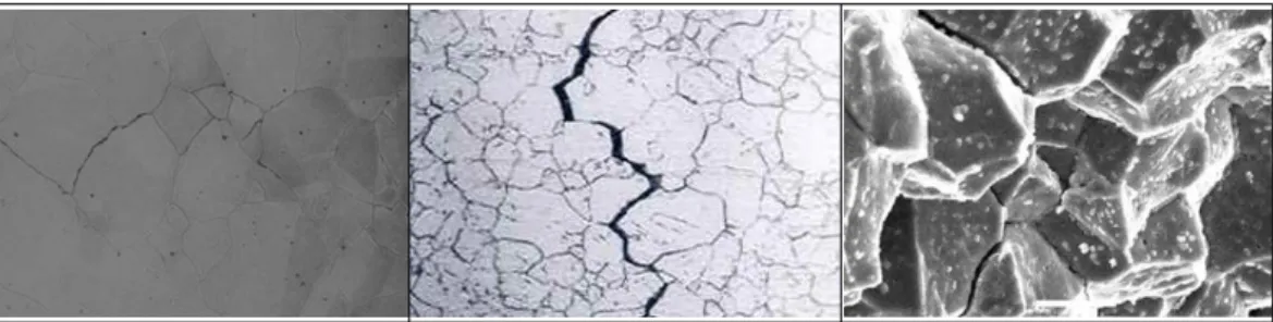 Fig. 2.1 PWSCC crack[49]