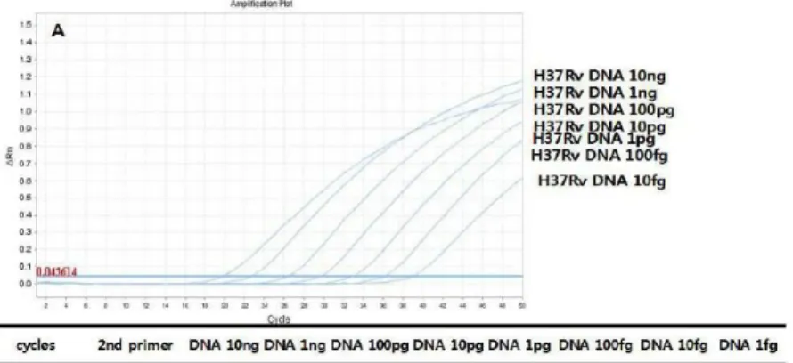 Figure 4a. Amplification curves of  rpoB single real-time PCR with  increasing cycles.