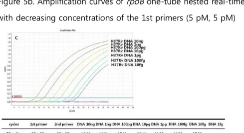 Figure 5c. Amplification curves of  rpoB one-tube nested real-time PCR  (10 pM, 10 Pm)