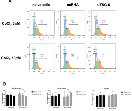 Figure  5.  Cell-cycle  arrest  was  induced  in  the  G 2 /M  phase  of  CIPp  cells  by  knockdown under hypoxic conditions