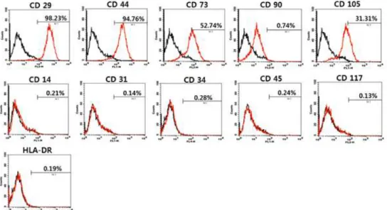 Figure 1. Immunophenotypic characterization of hBM-MSCs at passage 6 (P6). Data are shown as an overlay plot with immunoglobulin isotype control (in black) and different specific cell-surface markers (in red).