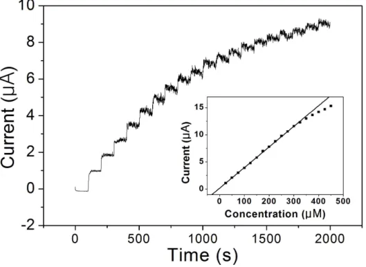 Figure  11.  Amperometric  response  of  the  G-LDH/GCE  to  successive  injection  of  25μM  HQ  in  0.1M  PBS  (pH=6.5)  under  stirring