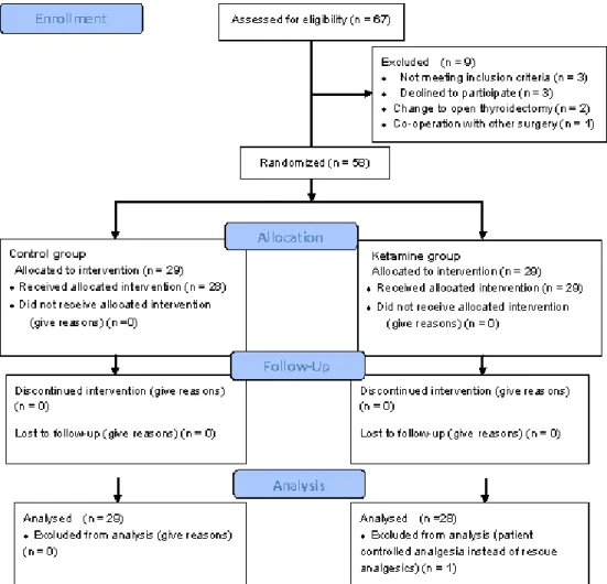 Figure 1. CONSORT diagram for the trial. Fifty eight patients were randomized and 1 patients were 