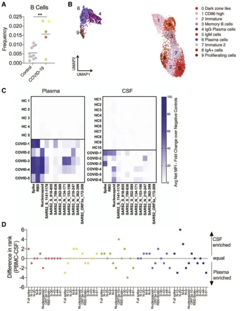 Figure 3. Localized central nervous system B cell responses in individuals with  COVID-19
