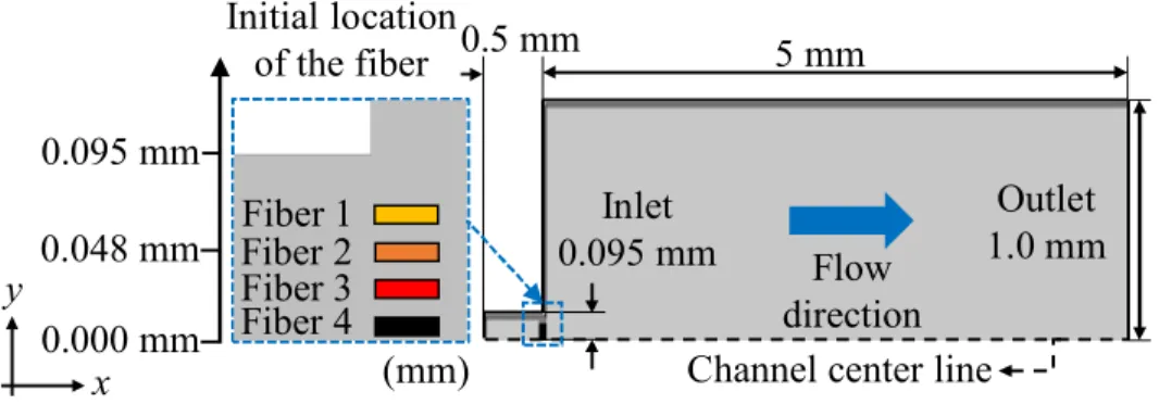 Fig. 3.1 2D calculation model for fiber alignment
