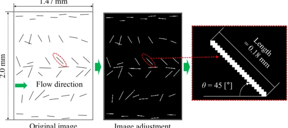 Fig. 4.5 Result of image processing of a randomly aligned line