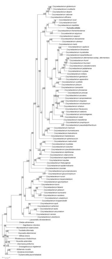 Figure  3.  Genome-based  phylogenetic  tree  of  T.  otitidis  and  neighboring  species, reconstructed by the PhyloPhlAn phylogenomic pipeline