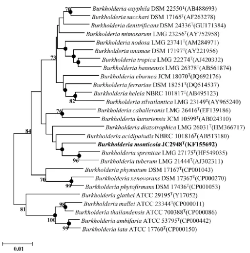 Figure  9.  Neighbor-Joining  tree  based  on  16S  rRNA  gene  sequences  to  describe  the  taxonomic  position  of  strain  JC2948 T 