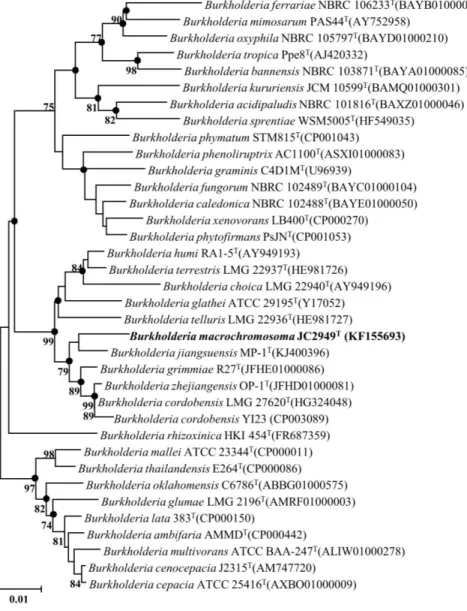 Figure  10.  Neighbor-Joining  tree  based  on  16S  rRNA  gene  sequences  to  describe the taxonomic position of strain JC2949 T 