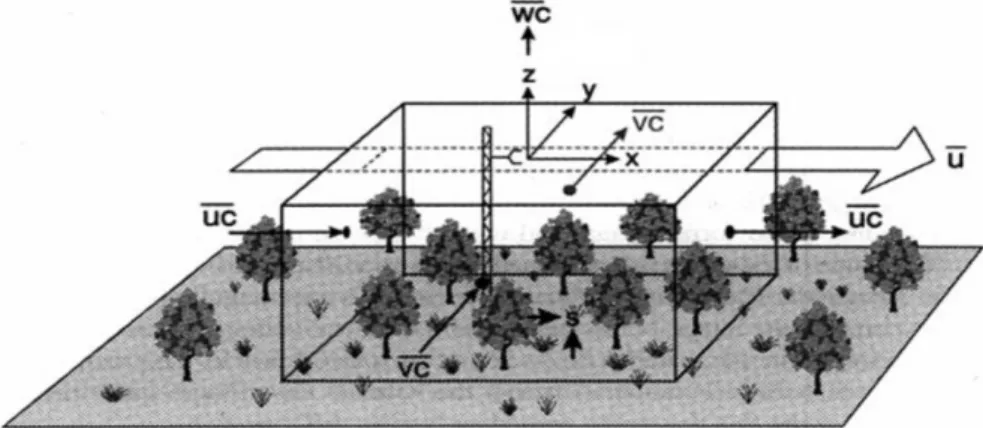 Figure  2.3 Schematic diagram of an eddy flux tower on a control volume in homogeneous  flat land terrain (Finnigan et al