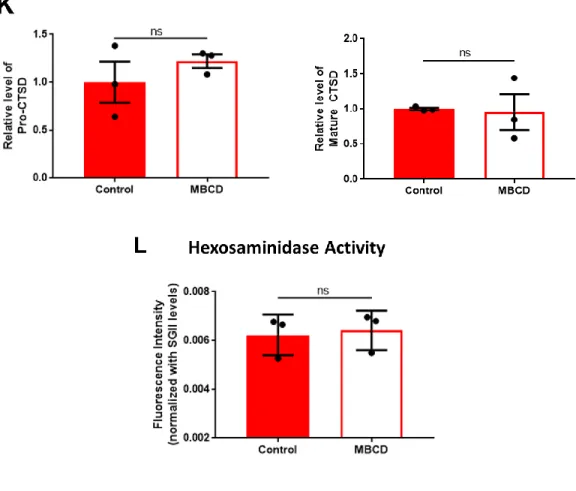 Figure 5. MBCD rescues increased aSyn release in NPC1 cell line via a lysosome-independent  pathway