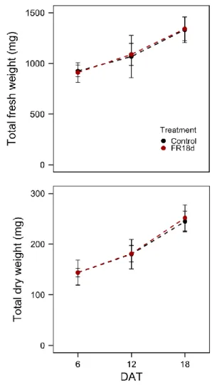 Fig. 4. Total fresh and dry weights of ginseng sprouts that were treated with  far-red light from the date of transplantation to the date of harvest (FR18d)