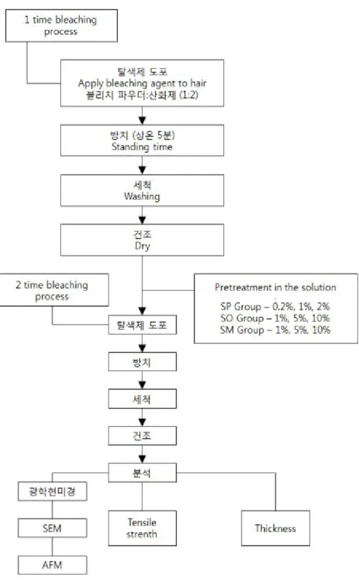 Fig. 4. Summary of whole experimental procedure.