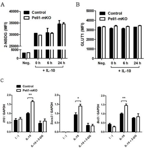 Figure 7. Role of glycolysis in M2c-polarized Peli1-mKO BMDM (A) Glucose uptake was measured by 2-NBDG staining in control or  Peli1-mKO  BMDMs  after  M2c  polarization  for  6  h