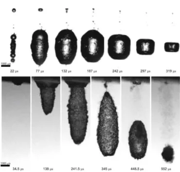Fig. 3.2. Sequential images of bubble expansion for Nd:YAG (top panels)  and Er:YAG (bottom panels) cases 