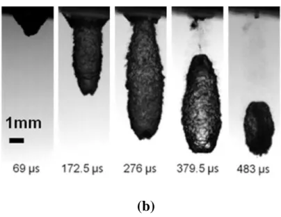 Fig. 3.15. (a) Laser-induced vapor bubble: (a) radius of expanding bubble wall  (data: symbol; theory: curve) and (b) images of 408 mJ beam-initiated 