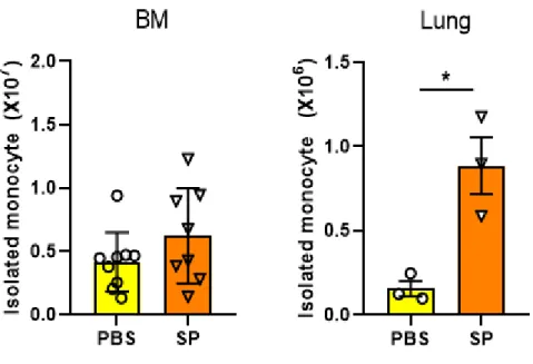 Fig. 1. The comparison of cells in PBS and SP infected mice. 