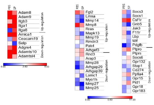 Fig. 10. Heatmap for comparison of transcription factors in PBS and 