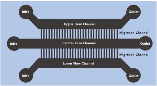 Fig.  11.  Designed  microfluidic  chip  for  single-cell  migration.  (A) 