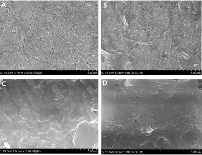 Fig. 7. The SEM images of the enamel surfaces. (A) Demineralized enamel surface with loss of smoothness showing porosities