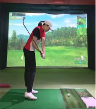 Figure  10.  Down  Swing  5-2