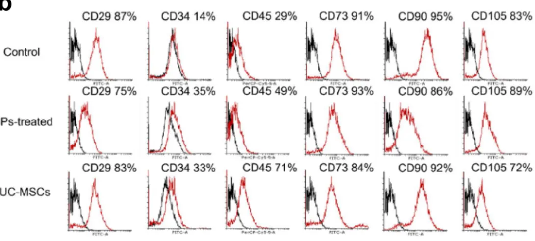 Fig. 1. The effect of hUC-MSCs on stem cell characterization of rBM-derived cells. B A high 
