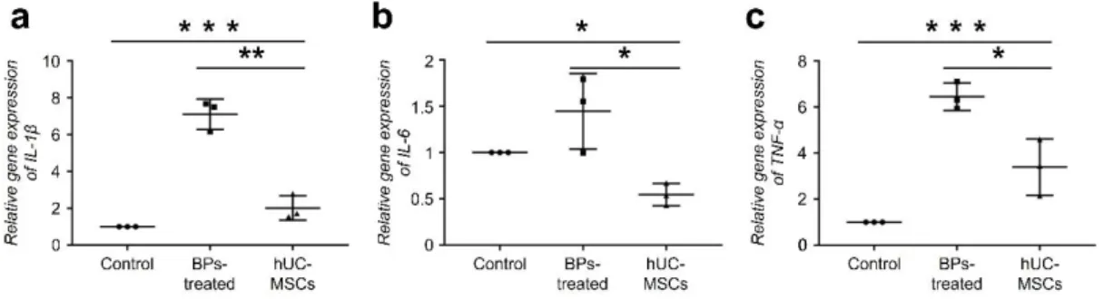 Fig. 2. The effects of hUC-MSCs on pro-inflammatory cytokine expression in rBM-derived 