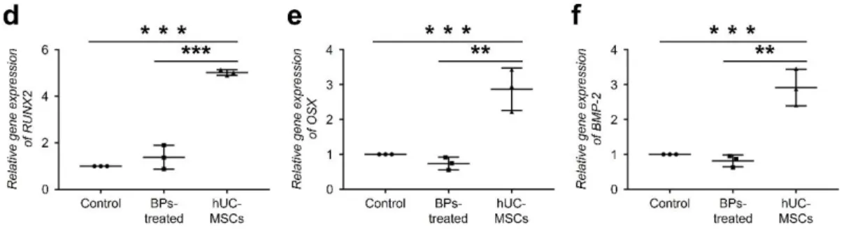 Fig. 2. The effects of hUC-MSCs on pro-inflammatory cytokine expression in rBM-derived 