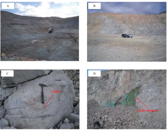 Figure 1.5. (A) &amp; (B) General view of the open-pit mine in the Erdenetiin Ovoo  deposit, (C) the vein-let developed in the host rocks and (D) the occurrence of Cu  (II) minerals