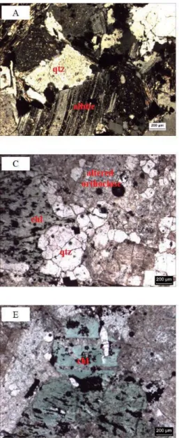 Figure 1.6. Representative photos of micrographs of the host rocks in the Erdenetiin  Ovoo deposit