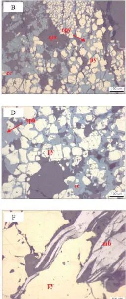 Figure 1.7. Representative photos of micrographs of the ore minerals in the  Erdenetiin Ovoo deposit