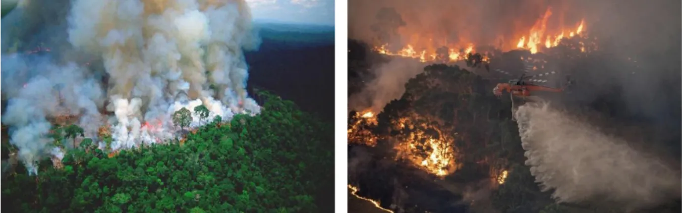 Figure 1-1: 2019, Amazon forest and Australia forest fires. 