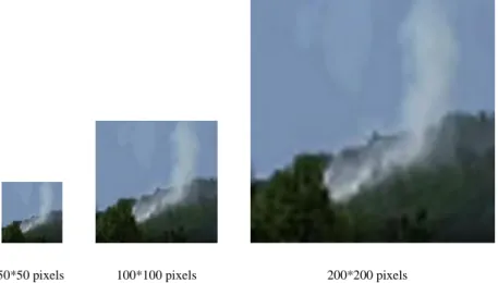 Figure 2-3: Bilinear interpolation method zoomed in the effect of the image.