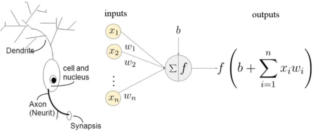 Fig. 8. shows the natural neural and artificial neuron. The artificial neuron basically consists of three  parts