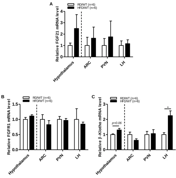 Figure 2. Expression of FGF21  and its receptors (FGFR1 and β-Klotho) in HFD-fed  obese mice 