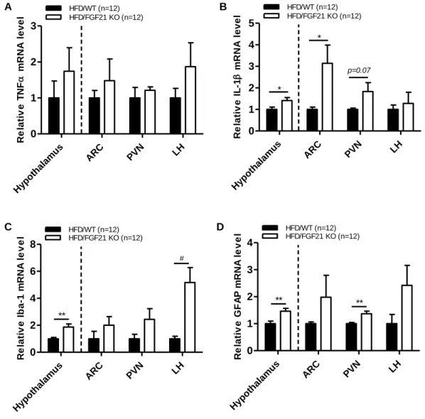 Figure  4.  Effect  of  FGF21  deficiency  on  inflammatory  response  in  the  hypothalamus of HFD-fed obese mice 