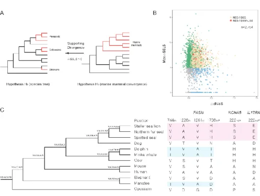 Figure 2.4 Analysis of rapidly evolving genes, divergent substitution genes, and unique substitution genes