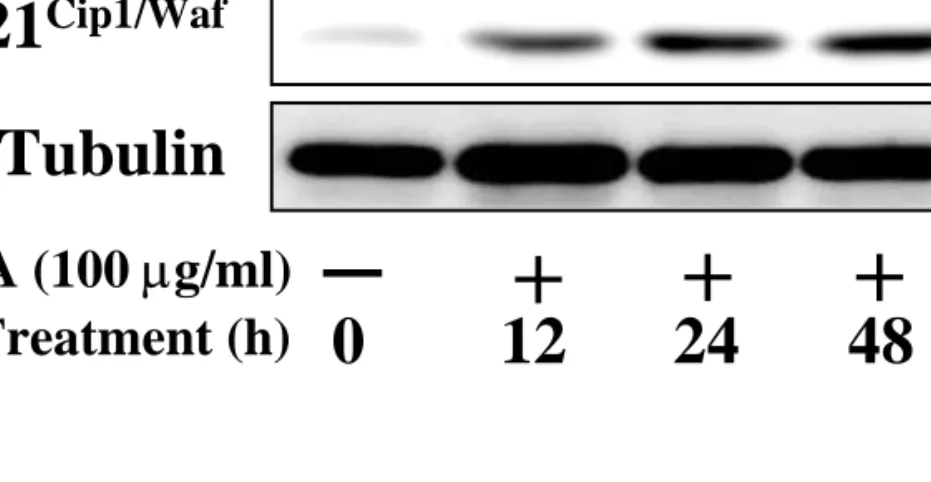 Figure 4. Seong Gyu Ko, et al  