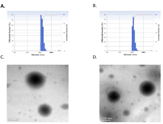 Figu re  3. S ize  a nd  mo rp ho lo g y  o f  na no part ic le s.  The  mean hydrodynamic diameter of LPL (A) and PL (B) nanoparticles as  measured  by DLS