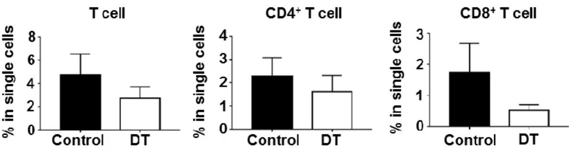 Fig  8. T  cell  response  of  DT-injected  BDCA2-DTR  BMTed  mice  (pDC-ablated  mice) upon  H
